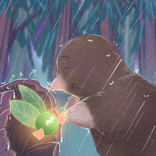 Mollie and Twig's Rainy Day Out